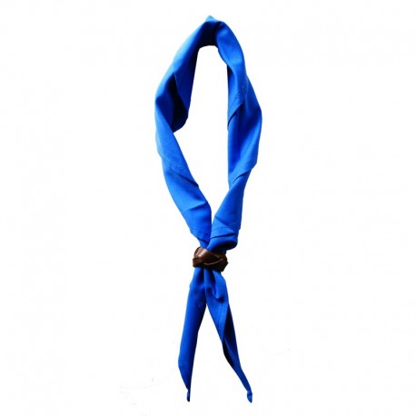 Foulard Bleu Roy Uni