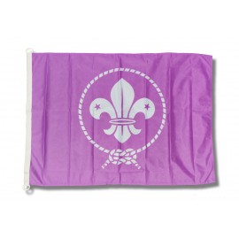 Drapeau OMMS