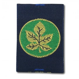 Badge Naturaliste (Eclaireurs)