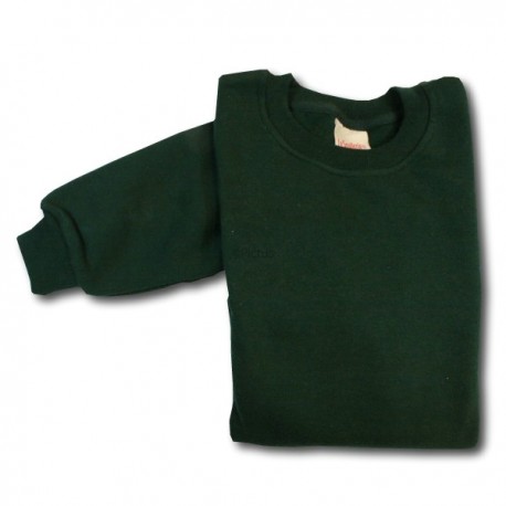 Sweat enfant vert 13-14 ans TEX à Prix Carrefour